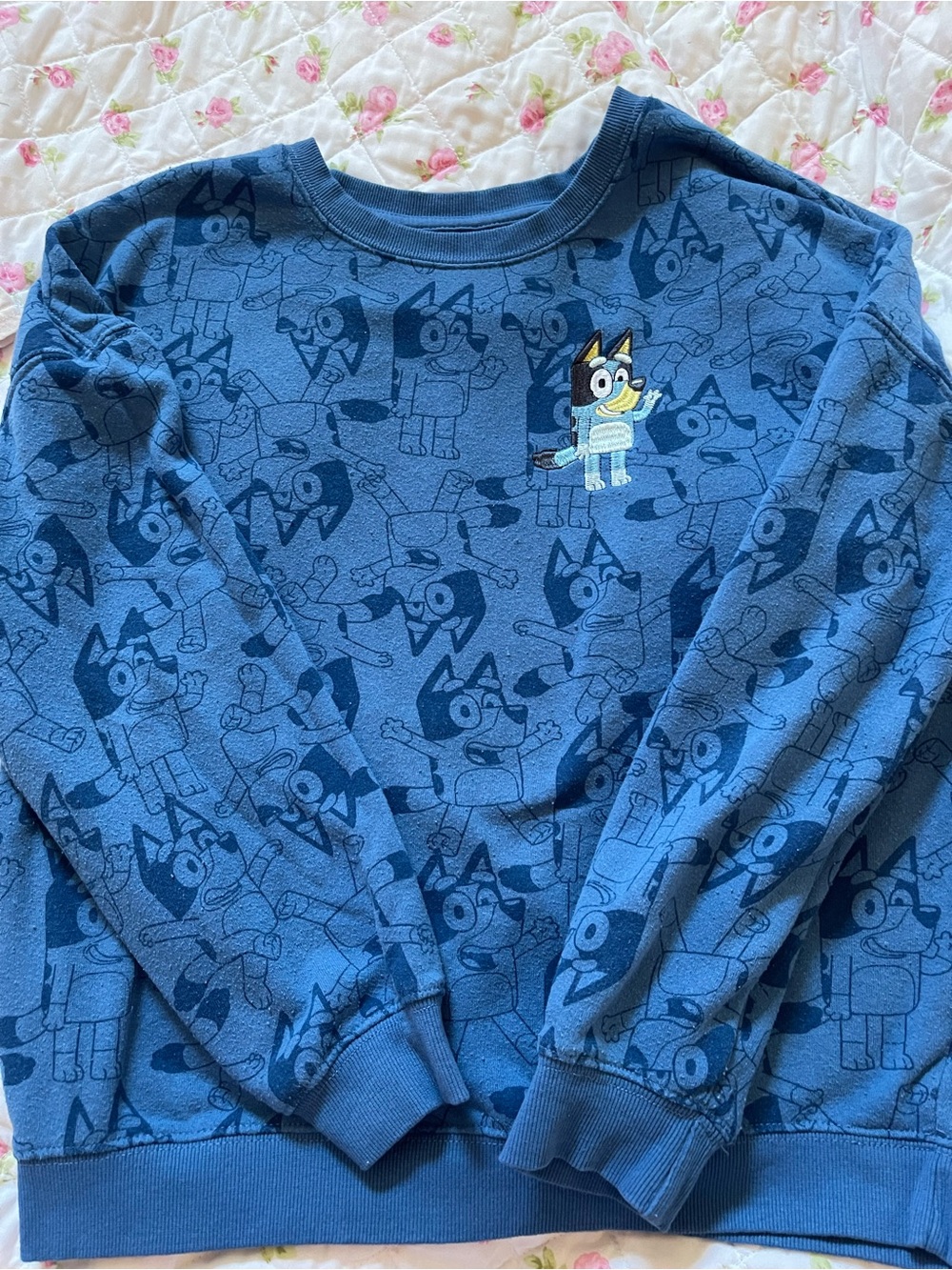 Blue 'Bluey' Patterned Crewneck Sweater